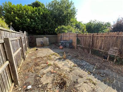 Picture 11